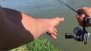 Murky waters on the Bow River Sharing my lure selection and fishing tips [upl. by Nylaj]