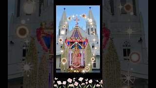 Shrine Basilica  Vailankanni  Chariot velankanni vailankanni shorts youtubeshorts youtube yt [upl. by Pirbhai]