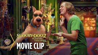 I Watched EVERY ScoobyDoo Movie EVER [upl. by Yenoh230]