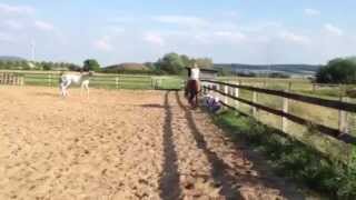 20120709 Halsringreiten auf Fellsattel [upl. by Defant232]