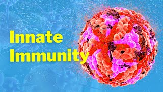 The Cells of Innate Immunity and Mechanism [upl. by Paver]