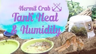 Hermit Crab Tank Heat amp Humidity  Loris Hartland [upl. by Eaves]