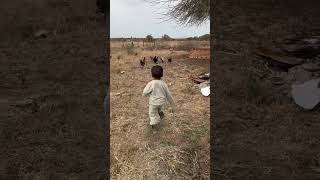 My happy baby chasing chickens 🐓 😍🤣 baby culture [upl. by Kinemod506]