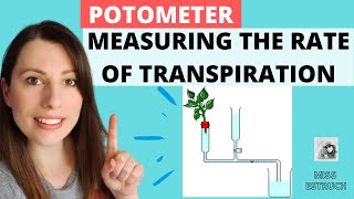 Potometer Experiment  Measuring the rate of transpiration Alevel Biology Experiment [upl. by Billy293]