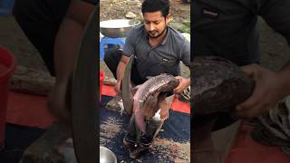 amazing Katol fish fishingvideo fishcuting fish fishcooking youtubeshorts fishing fishcutting [upl. by Cinomod]