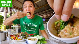 152 Thai Plant Based Buffet Can’t Stop Eating Cashew Chili Dip 🌶️  Nan Thailand [upl. by Ifok782]