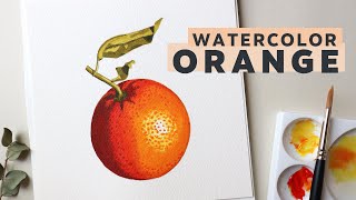 How to paint an Orange in watercolor Food Illustration [upl. by Salkin]