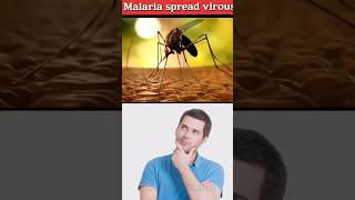 Malaria 🦟 spread virous biology spreqd humanbody [upl. by Yarw]