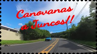 VIAJE DESDE CANOVANAS A JUNCOS CARR 185 [upl. by Tilden]