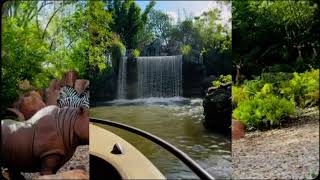 💚JUNGLE CRUISE Magic Kingdom 💚♡ [upl. by Gellman]