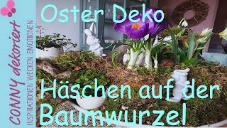 Häschen auf der Baumwurzel  Oster Deko mit Wildtulpen  Krokussen und Schneeglöckchen [upl. by Antipas]