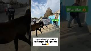 JIYANI UCHUN OT SOVGA QILDI😱 musicgenre funny [upl. by Nelie]