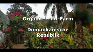 OrganicFruitFarm Dominikanische Republik  80000 Euro [upl. by Gavrielle]