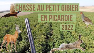 Chasse au petit gibier en Picardie 2022 Lièvre faisan perdrix grises renard chevreuil [upl. by Aisac]