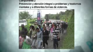 Plan Decenal de Salud Pública Convivencia social y salud mental [upl. by Lienaj]