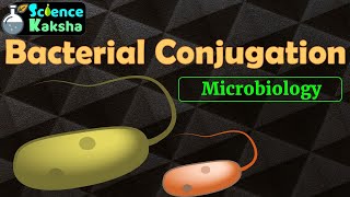 BACTERIAL CONJUGATION  Easy and Quick for CSIR NETGATEMScBSc Hindi [upl. by Conant]