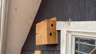 How to Make A Chickadee Condo Roosting Box [upl. by Hurst614]