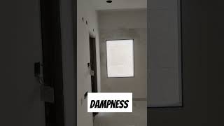 Dampness in wall  how to prevent dampness in the wall  reasons for dampness in walls [upl. by Blancha]