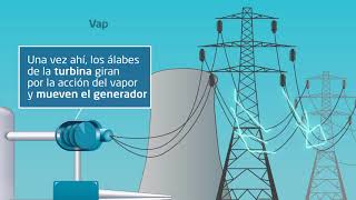 Funcionamiento de una central nuclear en un minuto [upl. by Corneille955]