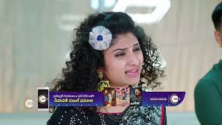 Trinayani  Ep  1117  Webisode  Dec 22 2023  Chandu Gowda And Ashika Gopal  Zee Telugu [upl. by Ahsikym]