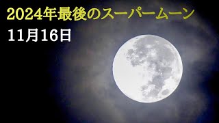 2024年最後のスーパームーン「道長の月」🌕11月16日 AM630 ビーバームーン 4K【11月の満月】「適した願い事」自然の風景 春日部 Beavermoon fullmoon japan [upl. by Jezabella43]