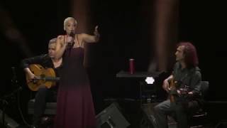 Pedro Jóia Trio convida Mariza  Ao Vivo no Misty Fest 2017 [upl. by Adur776]