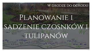 Planowanie i sadzenie czosnków i tulipanów [upl. by Riedel]