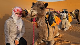 🇲🇦 Llegamos al DESIERTO y es la MEJOR EXPERIENCIA de nuestras vidas Marruecos en furgoneta camper [upl. by Attalanta]