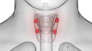 Parathyroidectomy CPT code  simplify medical coding [upl. by Beeson]