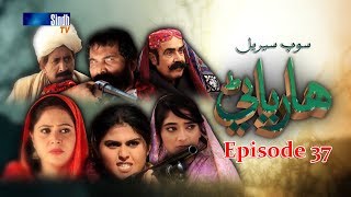 Sindh TV Soap Serial HARYANI EP 37  1962017  HD1080p SindhTVHD [upl. by Siryt420]