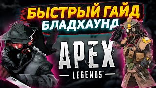 БЫСТРЫЙ ГАЙД НА БЛАДХАУНД В APEX LEGENDS СЕЗОН 20 [upl. by Gabrielson]