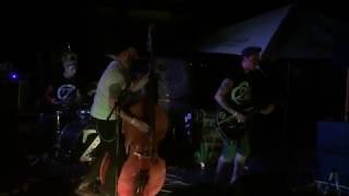 The Zipheads  Foreign Land live [upl. by Nawak197]