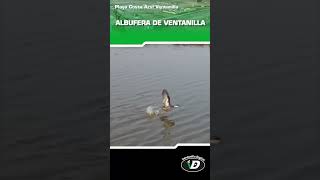 Albufera de Ventanilla [upl. by Nuncia]