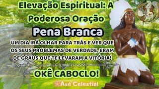 Elevação Espiritual  A Poderosa Prece do Caboclo Pena Branca🌿 [upl. by Armil]