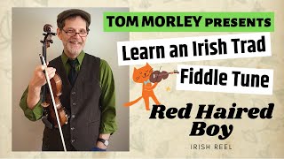 Learn an Irish Trad Fiddle Tune  Red Haired Boy [upl. by Melosa337]