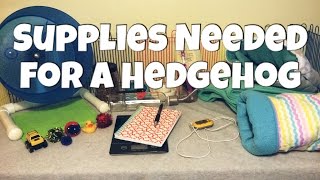 Hedgehog Care Supplies You Need for a Hedgehog 2015 [upl. by Ruhl]