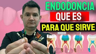 Que es la Endodoncia [upl. by Herzog549]