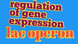 regulation of gene expressionlac operon neet biology [upl. by Elisee]