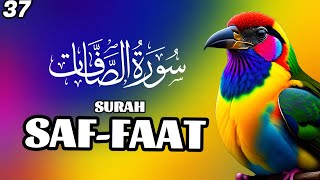 Surah SAFFAAT full with Arabic Beautiful Quran Recitation flowers rose nature Yaseen Rahman yasen [upl. by Keg]