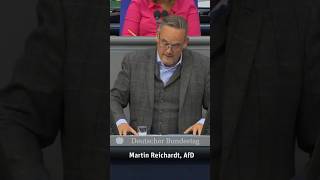 Martin Reichardt AfD [upl. by Franek]