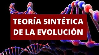 TEORÍA SINTÉTICA DE LA EVOLUCIÓN [upl. by Boiney340]