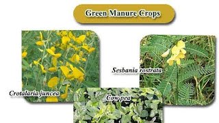 Green manure crops Soil science Agriculture Sir Coaching Center9985672013 [upl. by Ennaehr875]