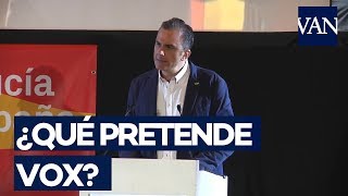 ELECCIONES ANDALUCÍA ¿Qué dice el programa de Vox [upl. by Asirem502]