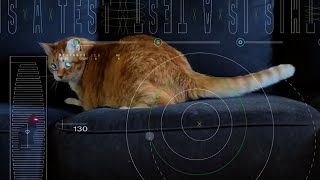 Pew pew NASA beams cat video 19 million miles through space using a laser [upl. by Zaragoza135]