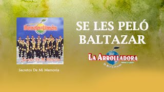 La Arrolladora Banda El Limón De René Camacho  Se Les Pelo Baltazar Lyric Video [upl. by Omari]