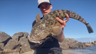 Live poddy mullet fishing for flathead swansea bridge [upl. by Fast]