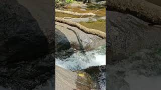 Cauvery Kaveri River Stream near Chelavara Waterfall Coorg [upl. by Alokin]