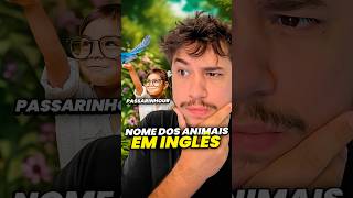 nome dos animais em inglês livedobrino humor MundinhoBrino [upl. by Nocaed]