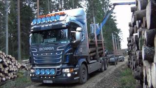 Scania R730 Timber Truck Loading [upl. by Phaidra]