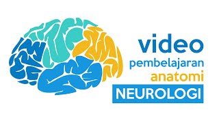 Video Pembelajaran Anatomi  NEUROLOGI [upl. by Arda]